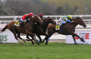 SILVERSIDE por los palos se impone a SIDESIDE y MARISCAL en la 5ª carrera