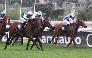 Tetuan y Rojiblanco superan a Sabroso y el de Martul se impone en la pelea final