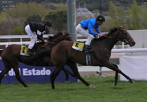 GALIPOLI sobre FORTUN en el Velayos