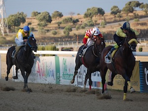 ANGEL MELODY en el sprint de Dos Hermanas (Foto: Dubai Millenium)