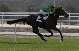 DAR AL MULK ganando en HZ con Gloria Madero en 2006