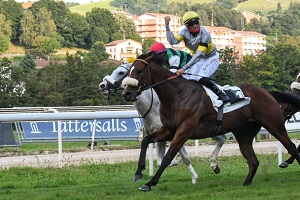 foto cortesía de Hipódromo San Sebastián