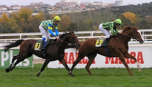 ENTRE COPAS imponiéndose a DOMESIDE en su tercer Gladiateur