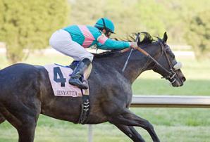 Zenyatta  hacia su 16º victoria. Foto del DRF