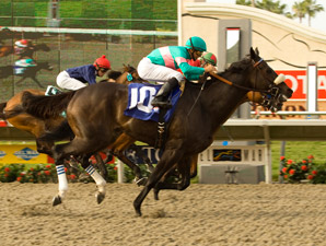 ZENYATTA ganando el Hirsch Stakes en 2009. Foto: Benoitphoto.com