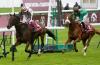 Cirrus des Aigles cumple el pronóstico en el Dollar y continua su historia de amor con Longchamp