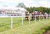 El paso del pelotón de la sexta carrera por Tattenham Corner justo a la altura del punto donde Emily Davison se lanzó a la pista