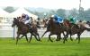 Jueves: En el Ribblesdale, el Oaks de Ascot, Bracelet se hace mayor al pasar a la distancia