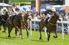 Thistle Bird abre el Festival de Epsom en la jornada de un Oaks especialmente abierto