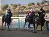 ANGEL MELODY en el sprint de Dos Hermanas (Foto: Dubai Millenium)
