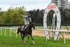 THE WAY OF BONNIE tras la victoria en la Copa de Oro (foto cortesía de Hipódromo San Sebastián)