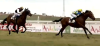 SILVERSIDE, sobre INDIANO en el GP de Andalucía (Imagen: LAE)