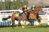 ACHTUNG superando a ENTRE COPAS en el Gran Premio de Madrid