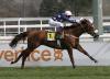 COMPTON PARK estirándose en el sprint del Premio Chamartín