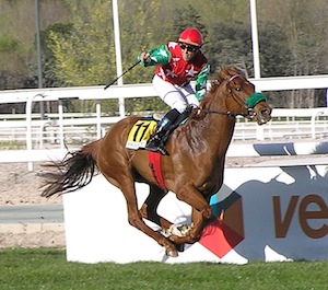 PROUD SIDE, volando a la meta del Valderas