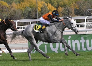 MIKELTOS ganando el Infanta Beatriz