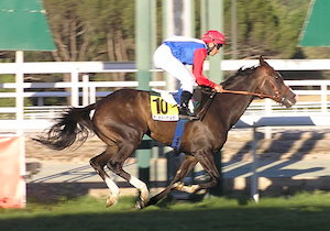 FRINE, en la meta del Gran Premio de Madrid