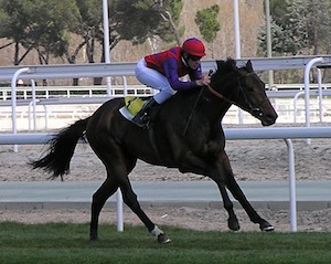 LABROS adjudicándose el Opcional